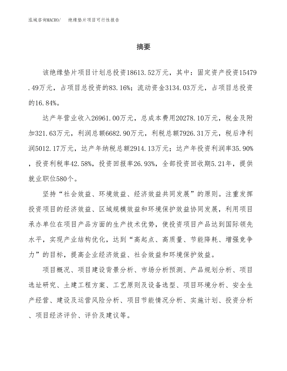 绝缘垫片项目可行性报告范文（总投资19000万元）.docx_第2页