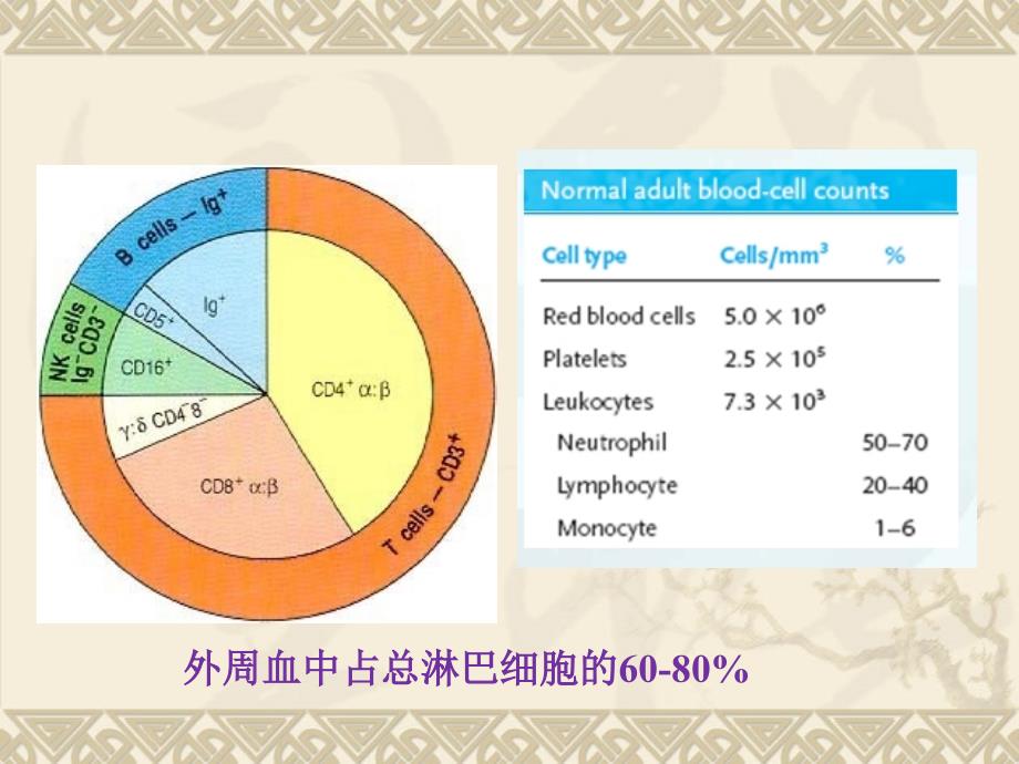 t细胞亚群与肿瘤.._第4页