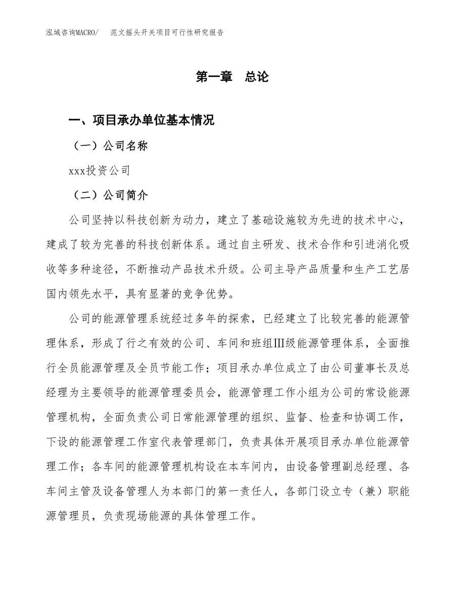 范文摇头开关项目可行性研究报告(立项申请).docx_第5页