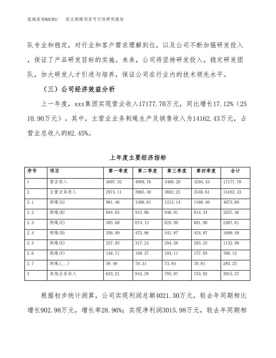 范文刺绳项目可行性研究报告(立项申请).docx_第5页