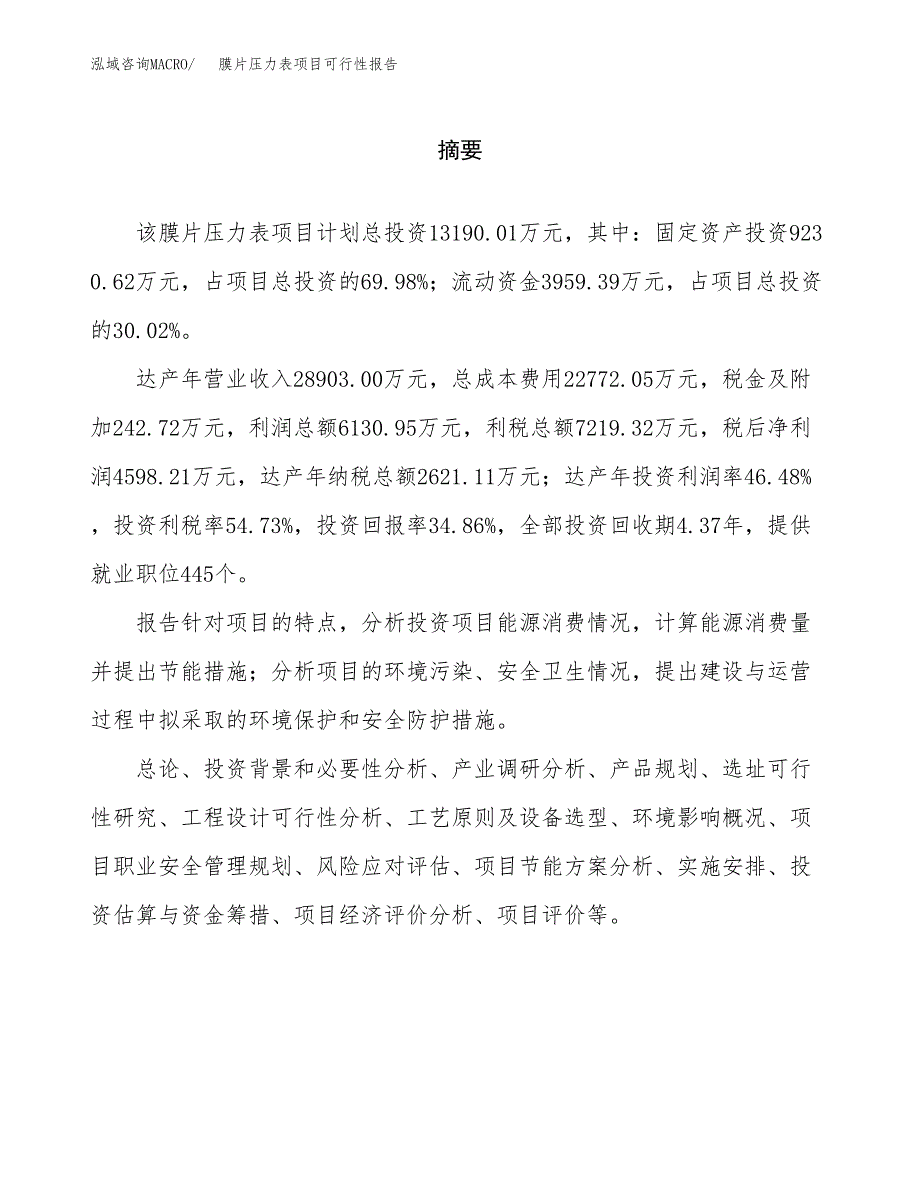 膜片压力表项目可行性报告范文（总投资13000万元）.docx_第2页