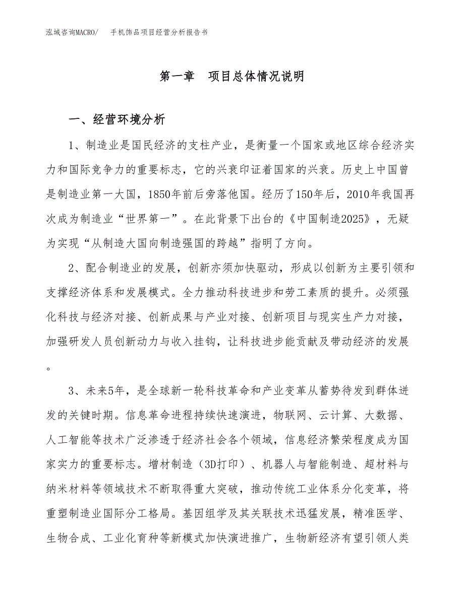 手机饰品项目经营分析报告书（总投资3000万元）（13亩）.docx_第2页