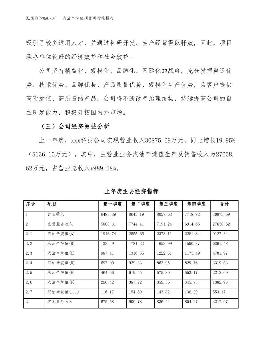 汽油辛烷值项目可行性报告范文（总投资14000万元）.docx_第5页