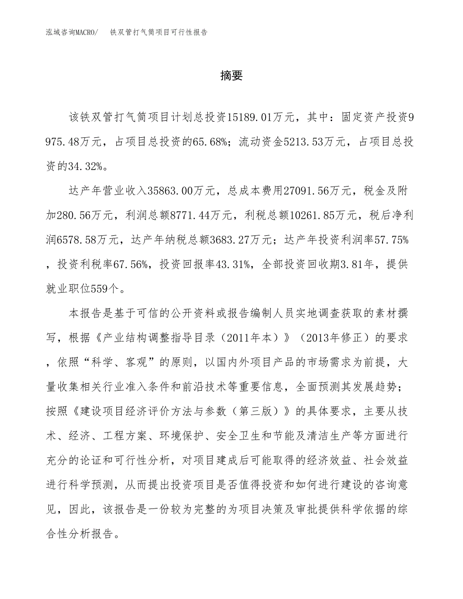 铁双管打气筒项目可行性报告范文（总投资15000万元）.docx_第2页