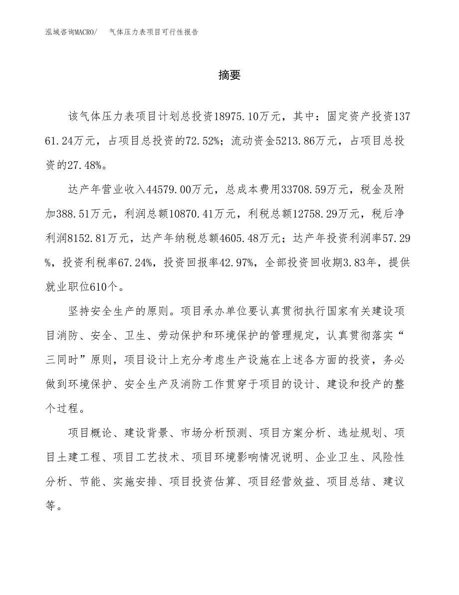 气体压力表项目可行性报告范文（总投资19000万元）.docx_第2页