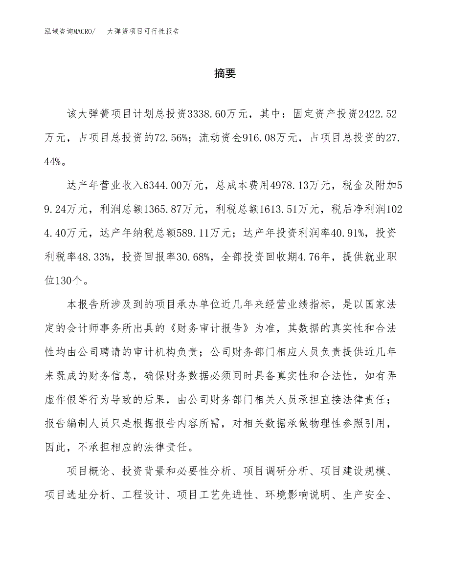 大弹簧项目可行性报告范文（总投资3000万元）.docx_第2页