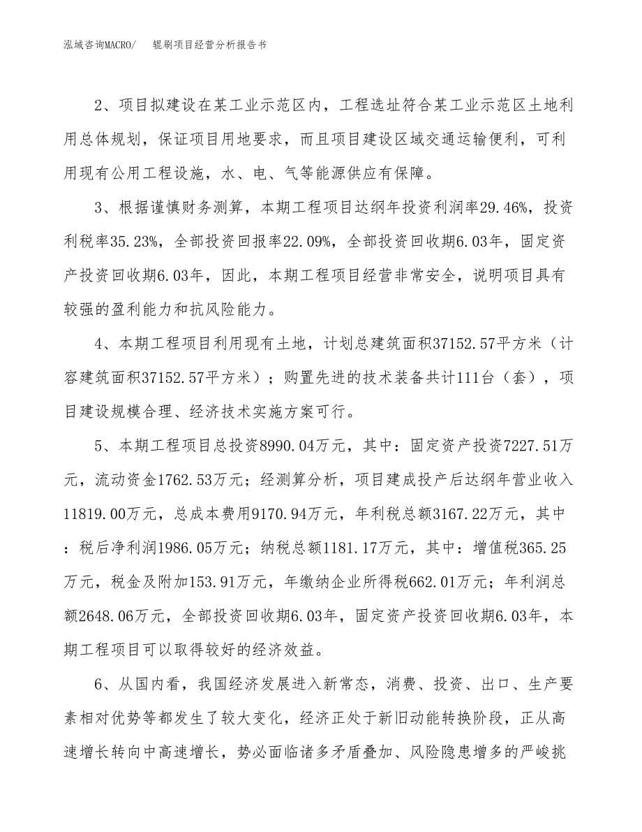 辊刷项目经营分析报告书（总投资9000万元）（41亩）.docx_第5页