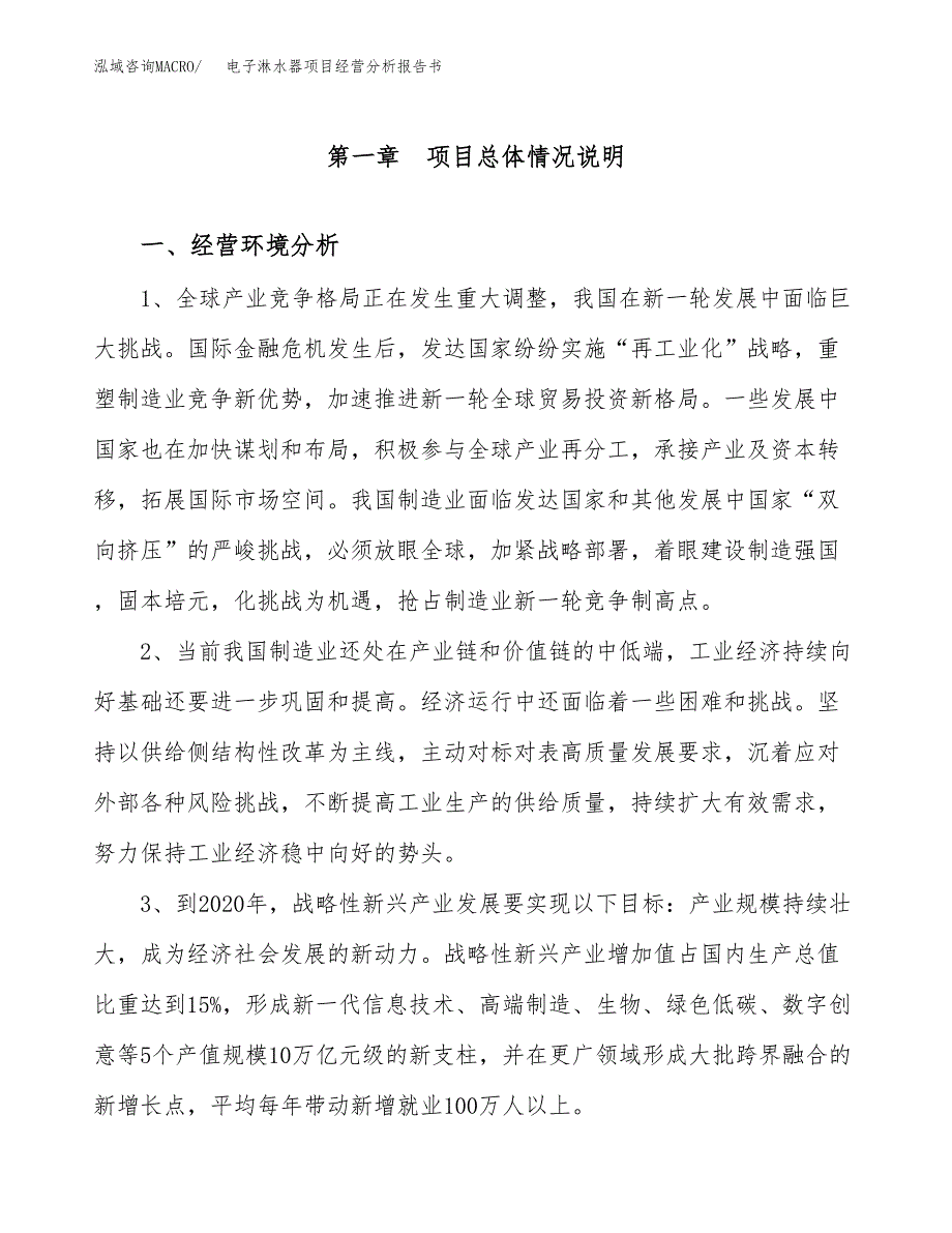 电子淋水器项目经营分析报告书（总投资2000万元）（10亩）.docx_第2页