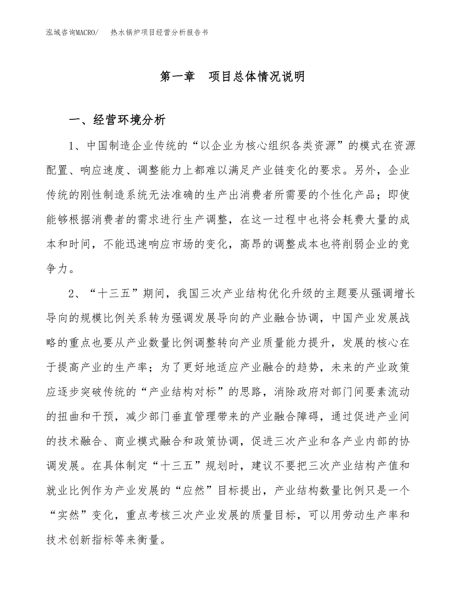 热水锅炉项目经营分析报告书（总投资21000万元）（81亩）.docx_第2页