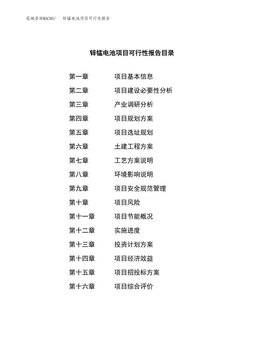 锌锰电池项目可行性报告范文（总投资7000万元）.docx_第3页