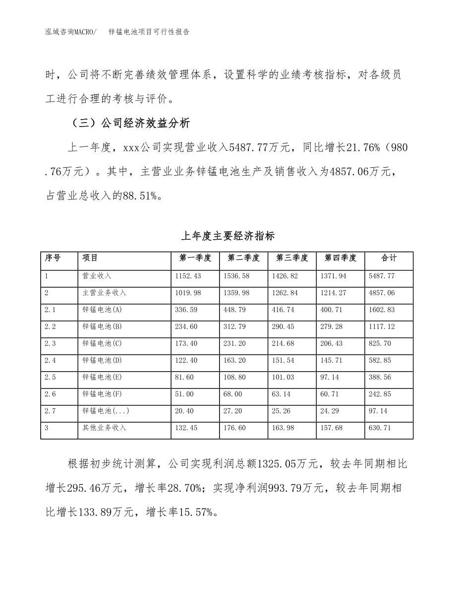 锌锰电池项目可行性报告范文（总投资7000万元）.docx_第5页