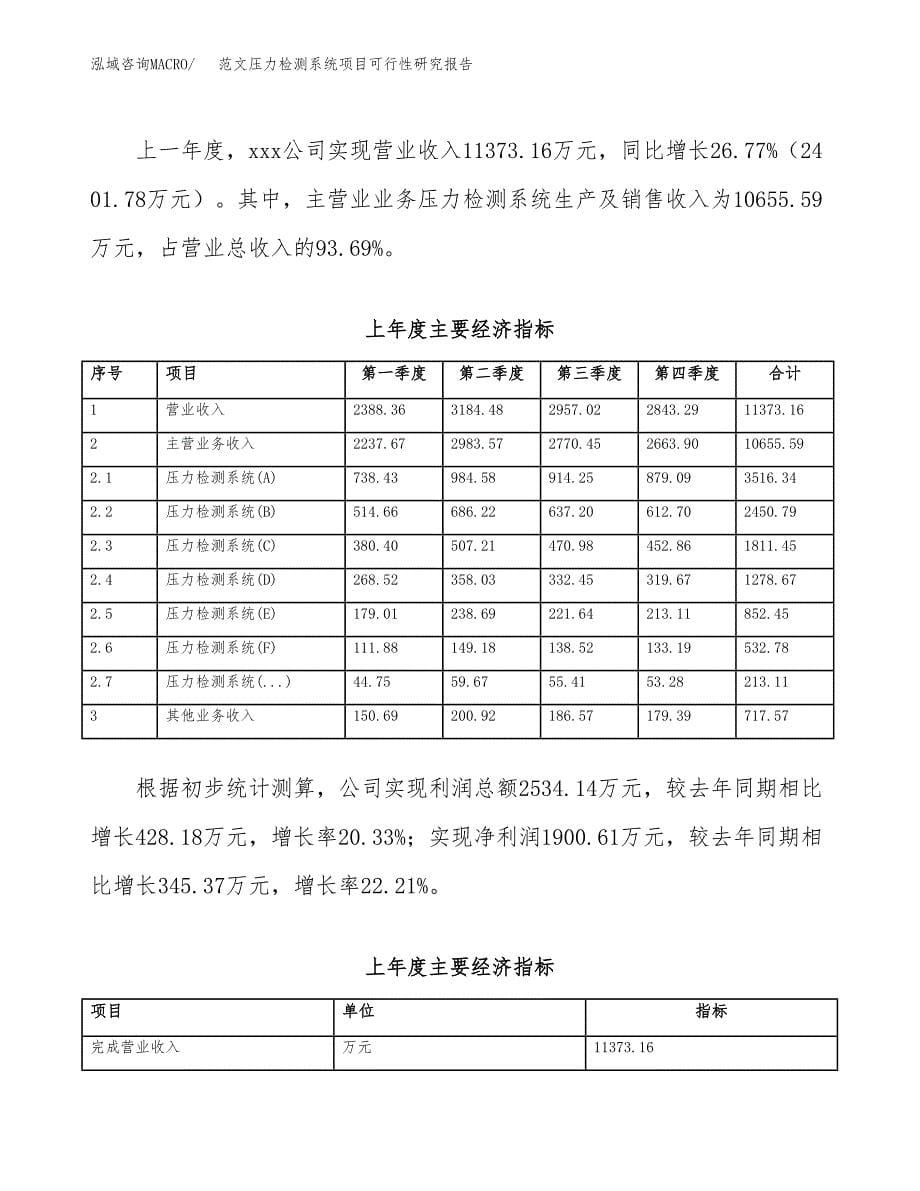 范文压力检测系统项目可行性研究报告(立项申请).docx_第5页