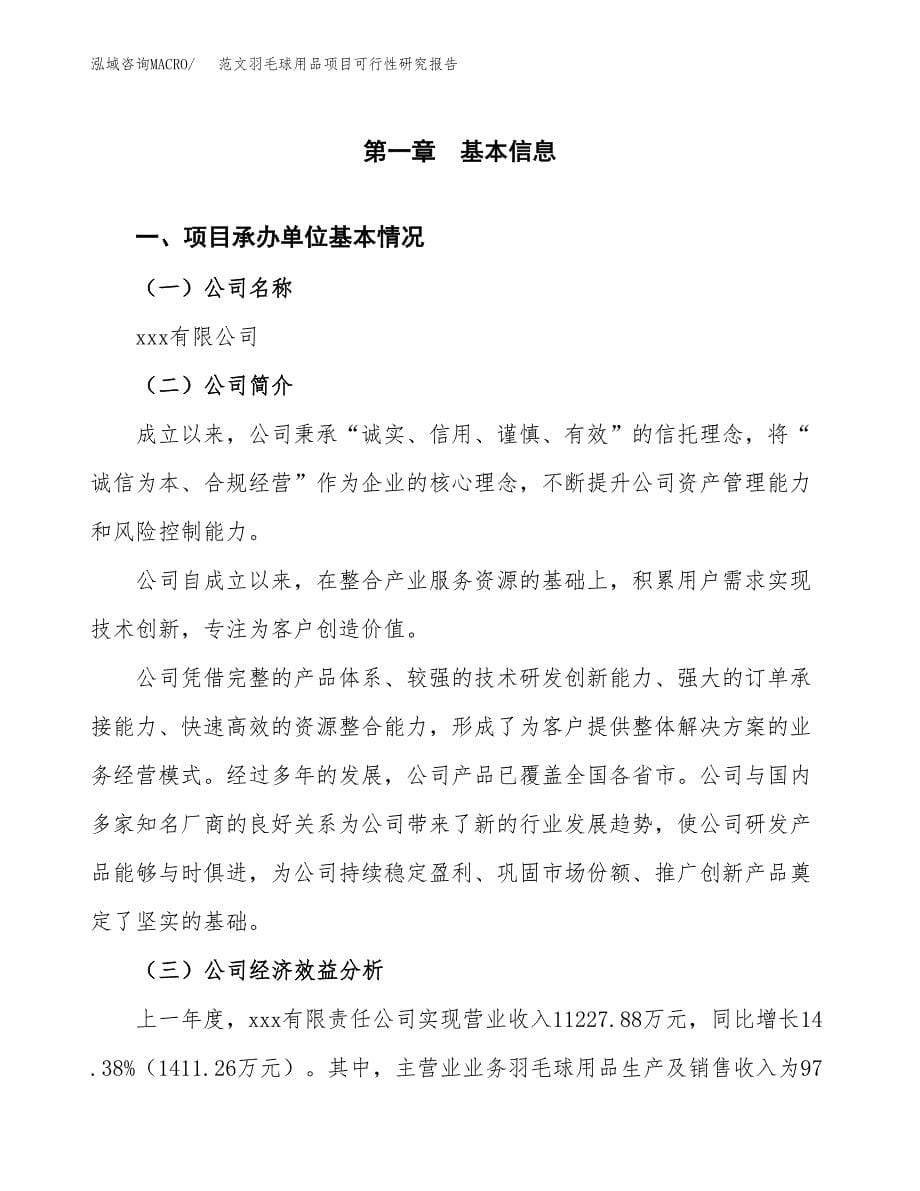 范文羽毛球用品项目可行性研究报告(立项申请).docx_第5页