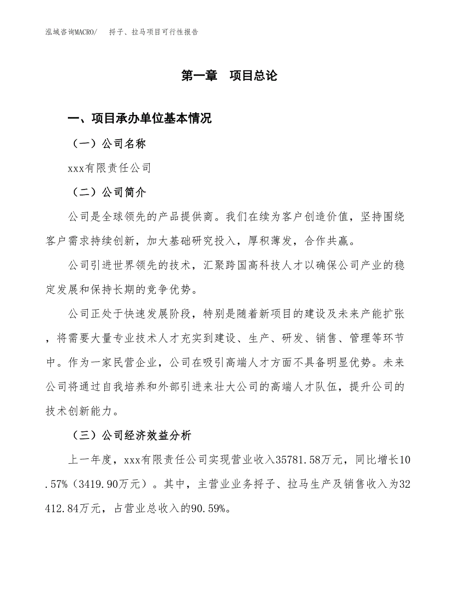 捋子、拉马项目可行性报告范文（总投资21000万元）.docx_第4页