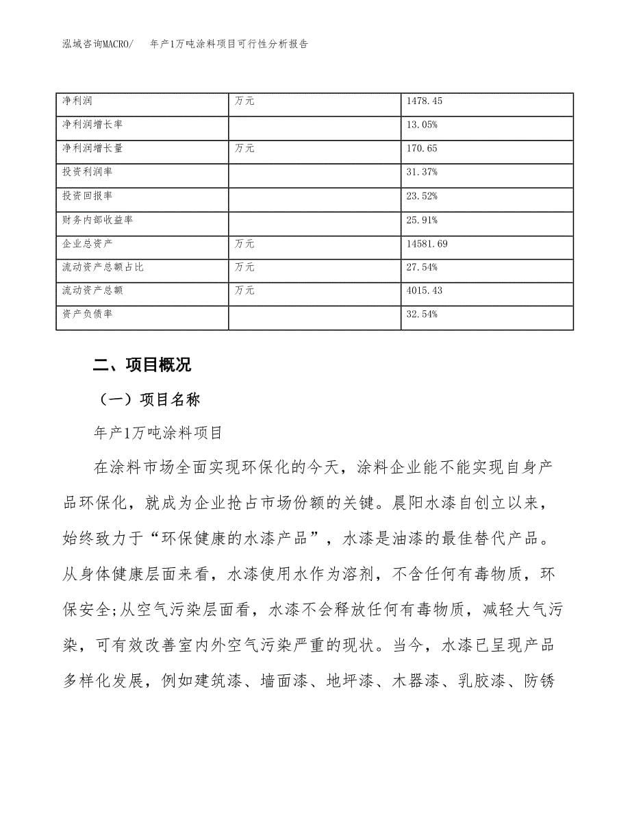 年产1万吨涂料项目可行性分析报告 (15)_第5页