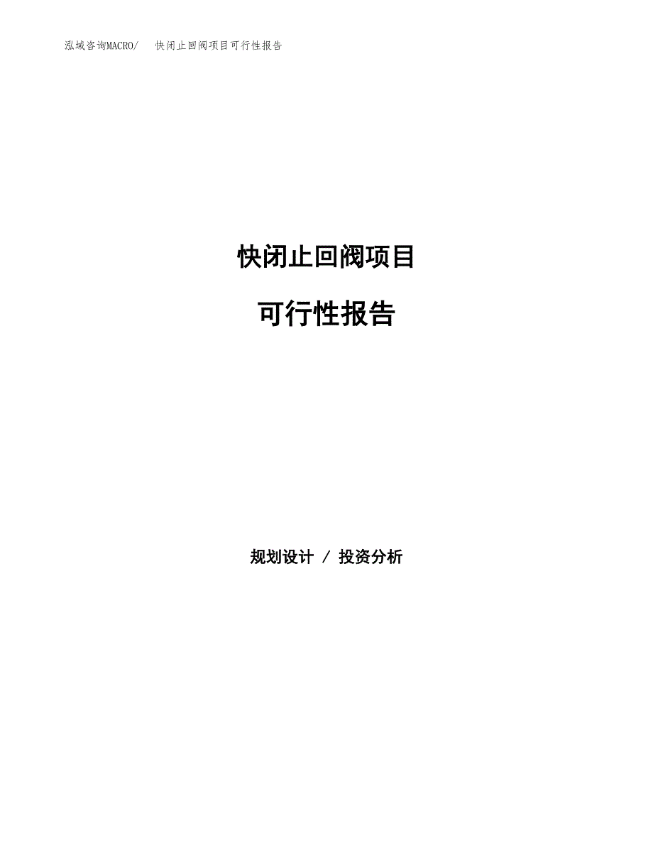 快闭止回阀项目可行性报告范文（总投资10000万元）.docx_第1页