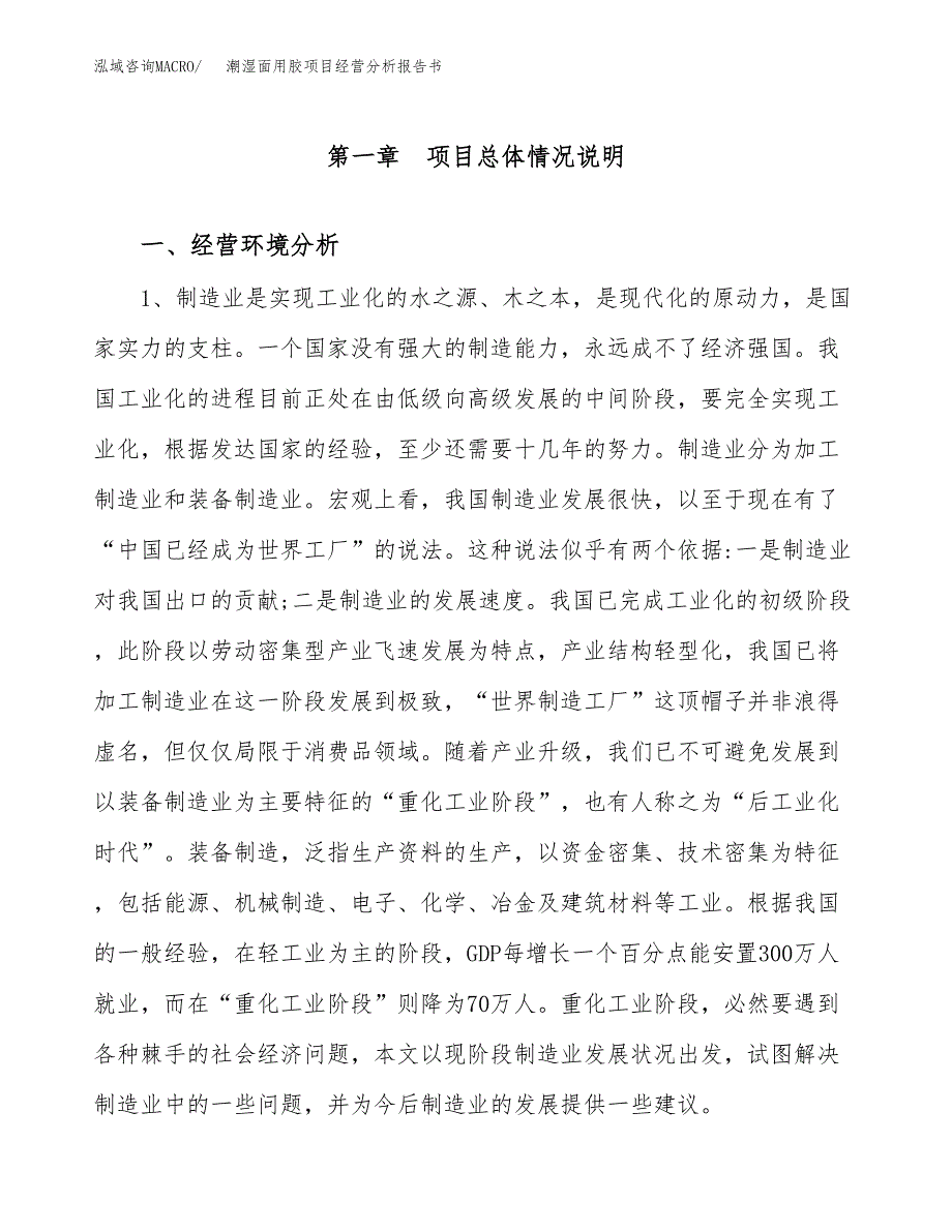 潮湿面用胶项目经营分析报告书（总投资10000万元）（46亩）.docx_第2页