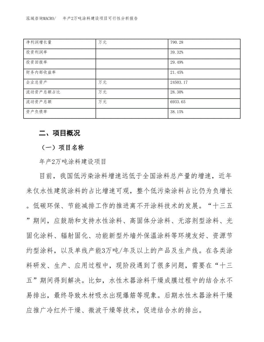 年产2万吨涂料建设项目可行性分析报告 (39)_第5页