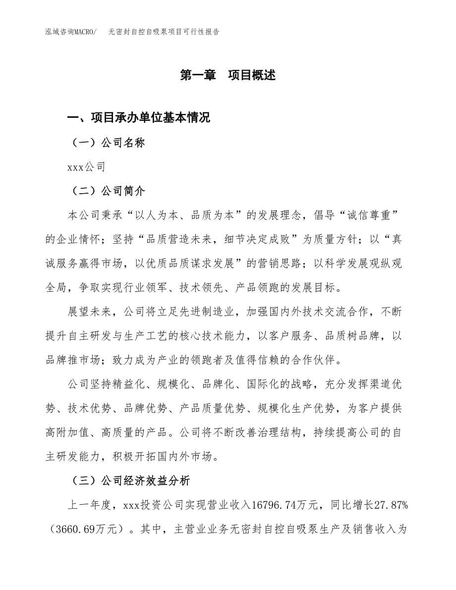 无密封自控自吸泵项目可行性报告范文（总投资12000万元）.docx_第5页