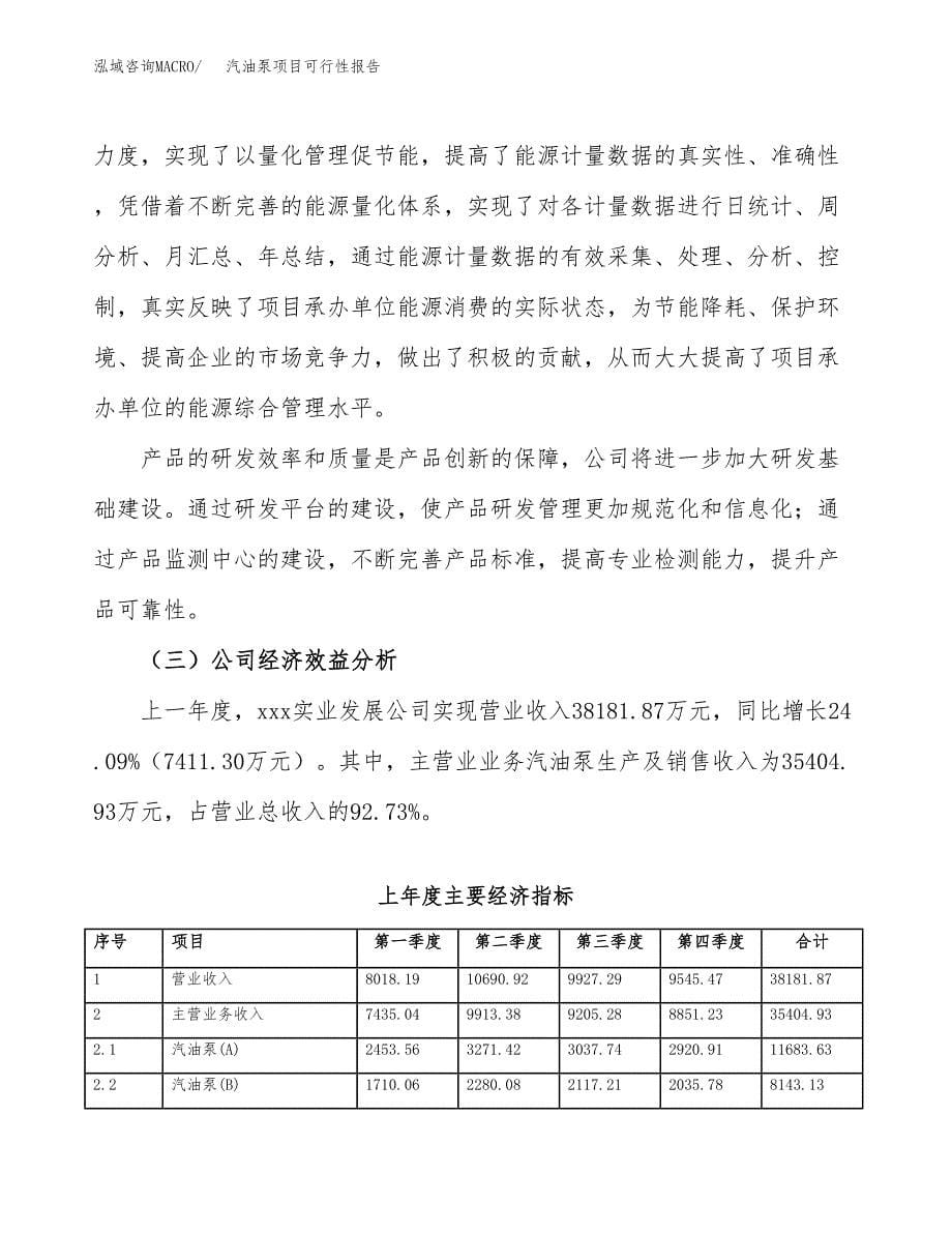 汽油泵项目可行性报告范文（总投资15000万元）.docx_第5页