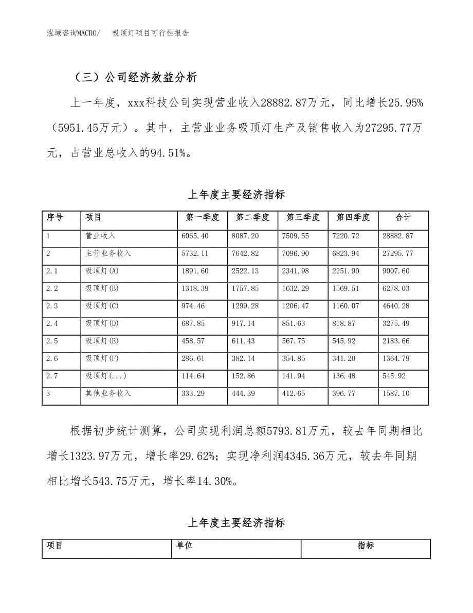 吸顶灯项目可行性报告范文（总投资17000万元）.docx_第5页