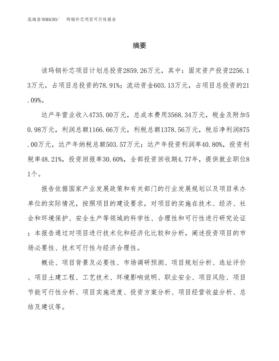 玛钢补芯项目可行性报告范文（总投资3000万元）.docx_第2页