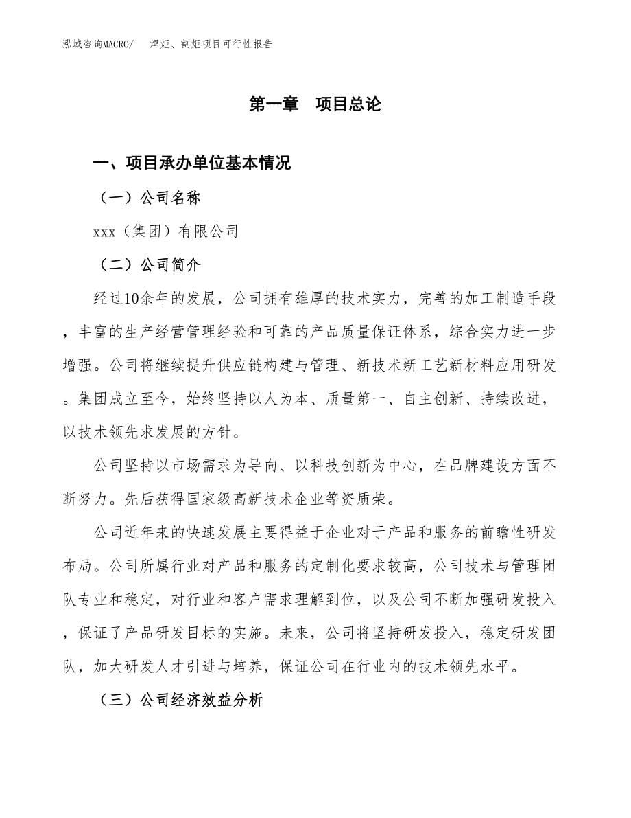 焊炬、割炬项目可行性报告范文（总投资8000万元）.docx_第5页