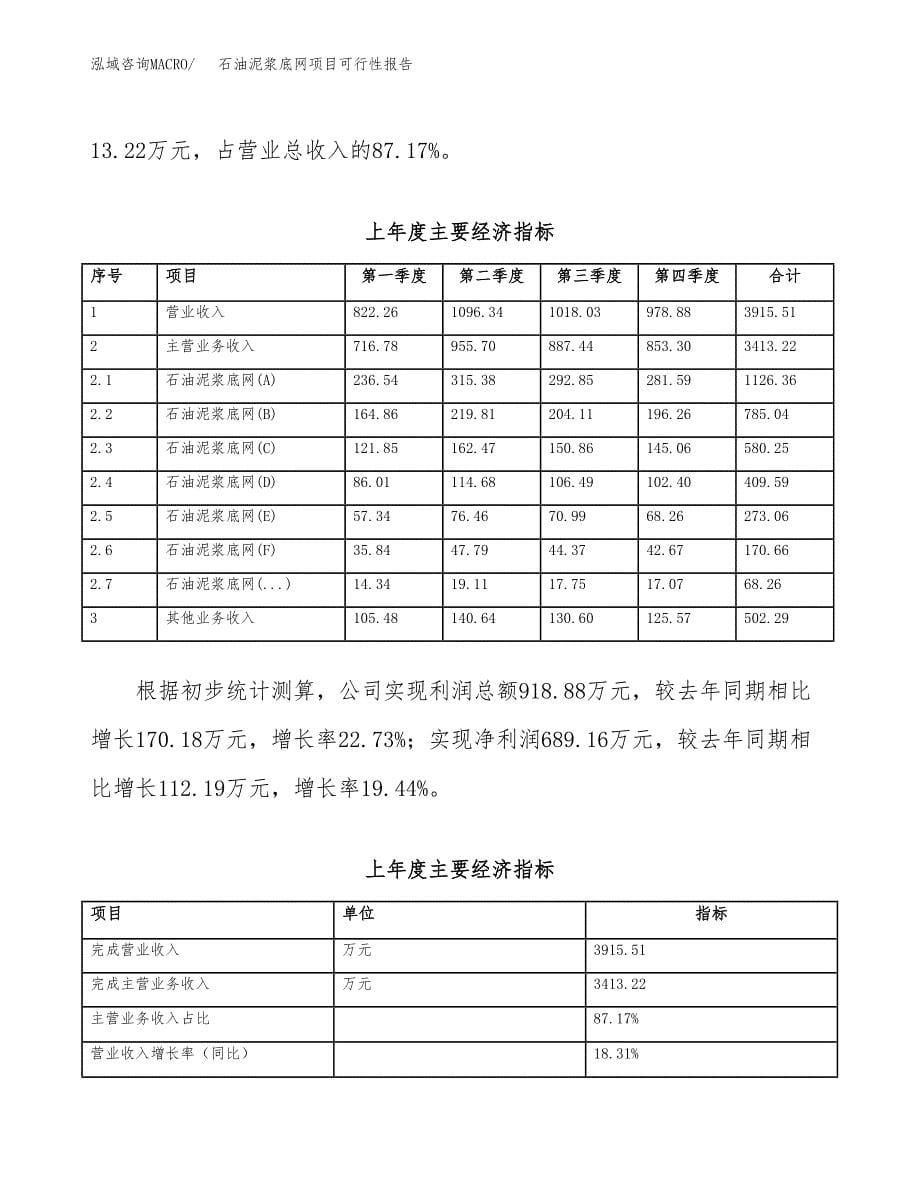 石油泥浆底网项目可行性报告范文（总投资5000万元）.docx_第5页