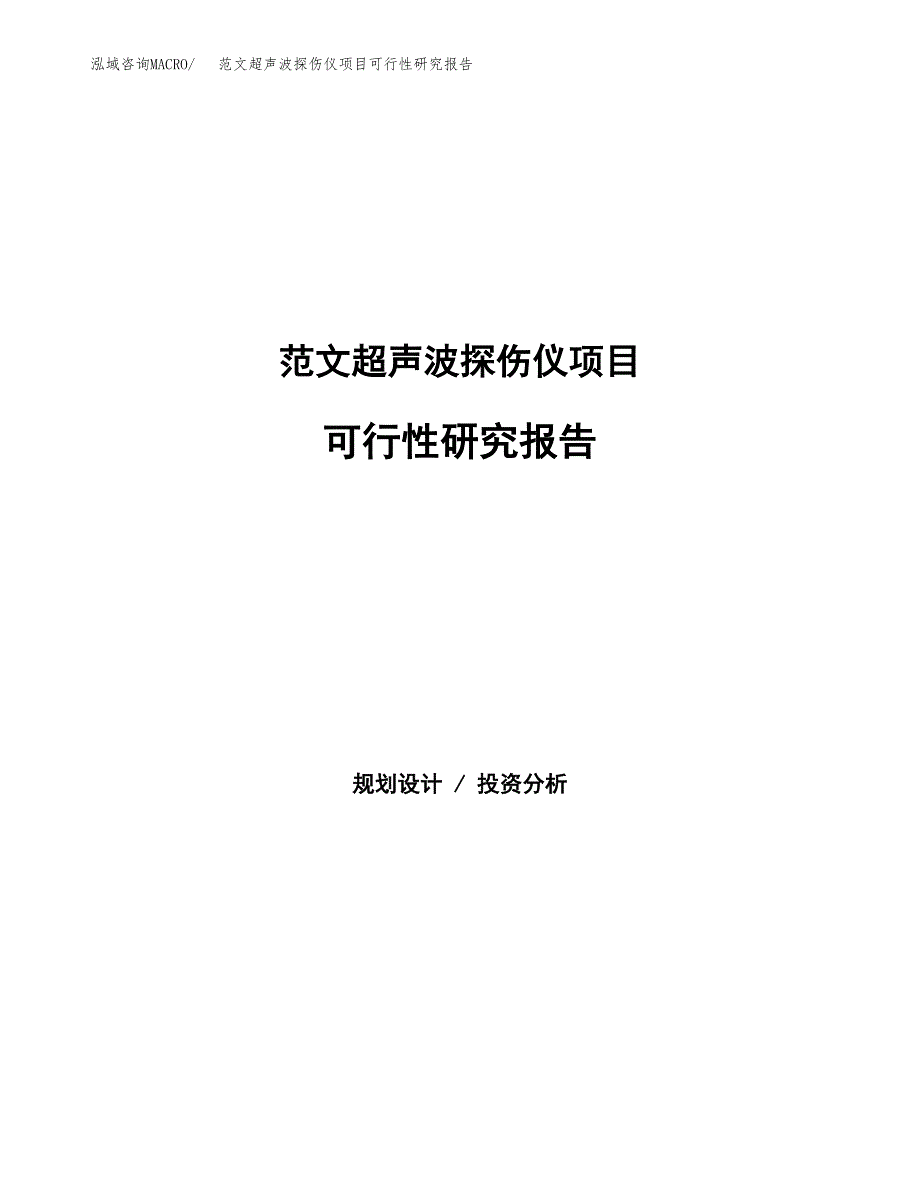 范文超声波探伤仪项目可行性研究报告(立项申请).docx_第1页