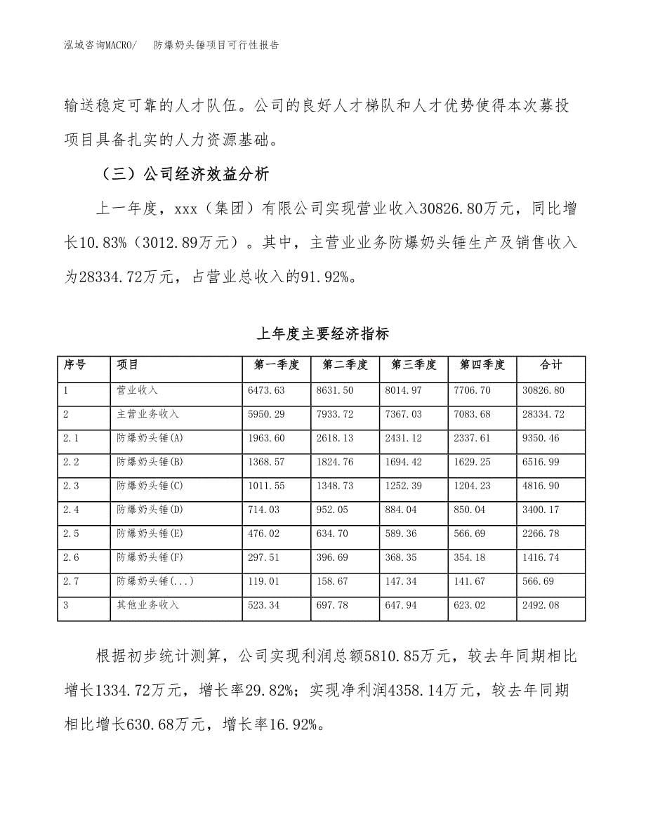 防爆奶头锤项目可行性报告范文（总投资16000万元）.docx_第5页