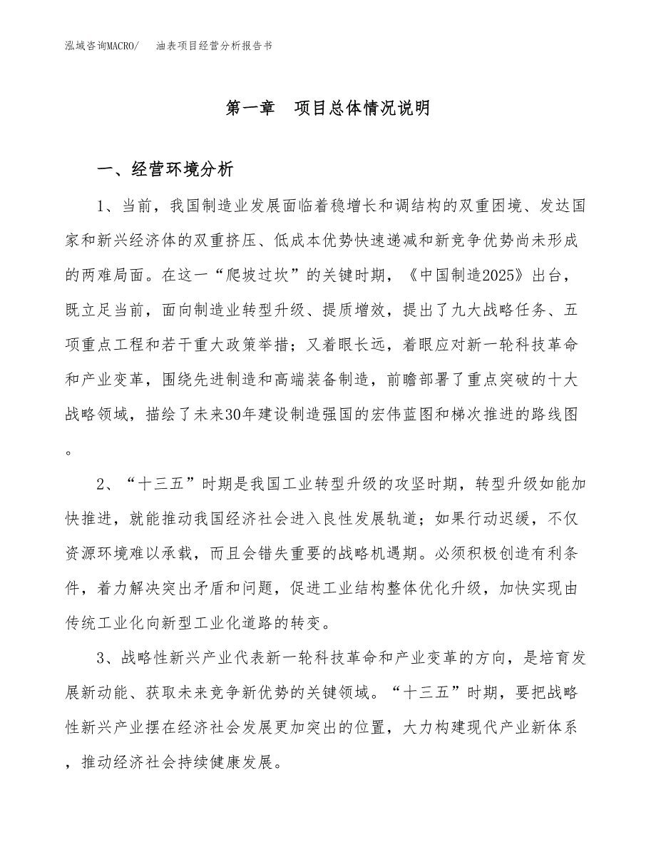 油表项目经营分析报告书（总投资10000万元）（44亩）.docx_第2页