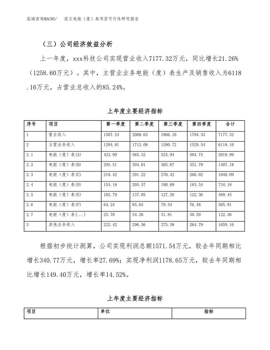 范文电能（度）表项目可行性研究报告(立项申请).docx_第5页