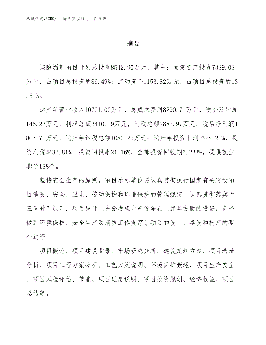 除垢剂项目可行性报告范文（总投资9000万元）.docx_第2页