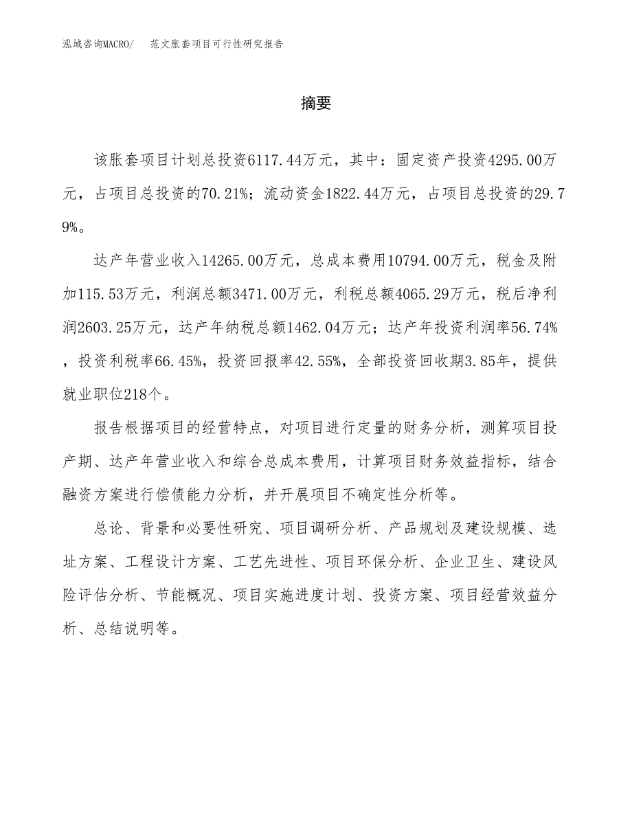 范文胀套项目可行性研究报告(立项申请).docx_第2页