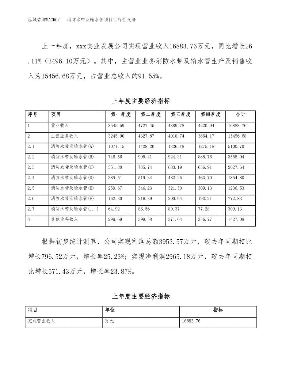 消防水带及输水管项目可行性报告范文（总投资16000万元）.docx_第5页