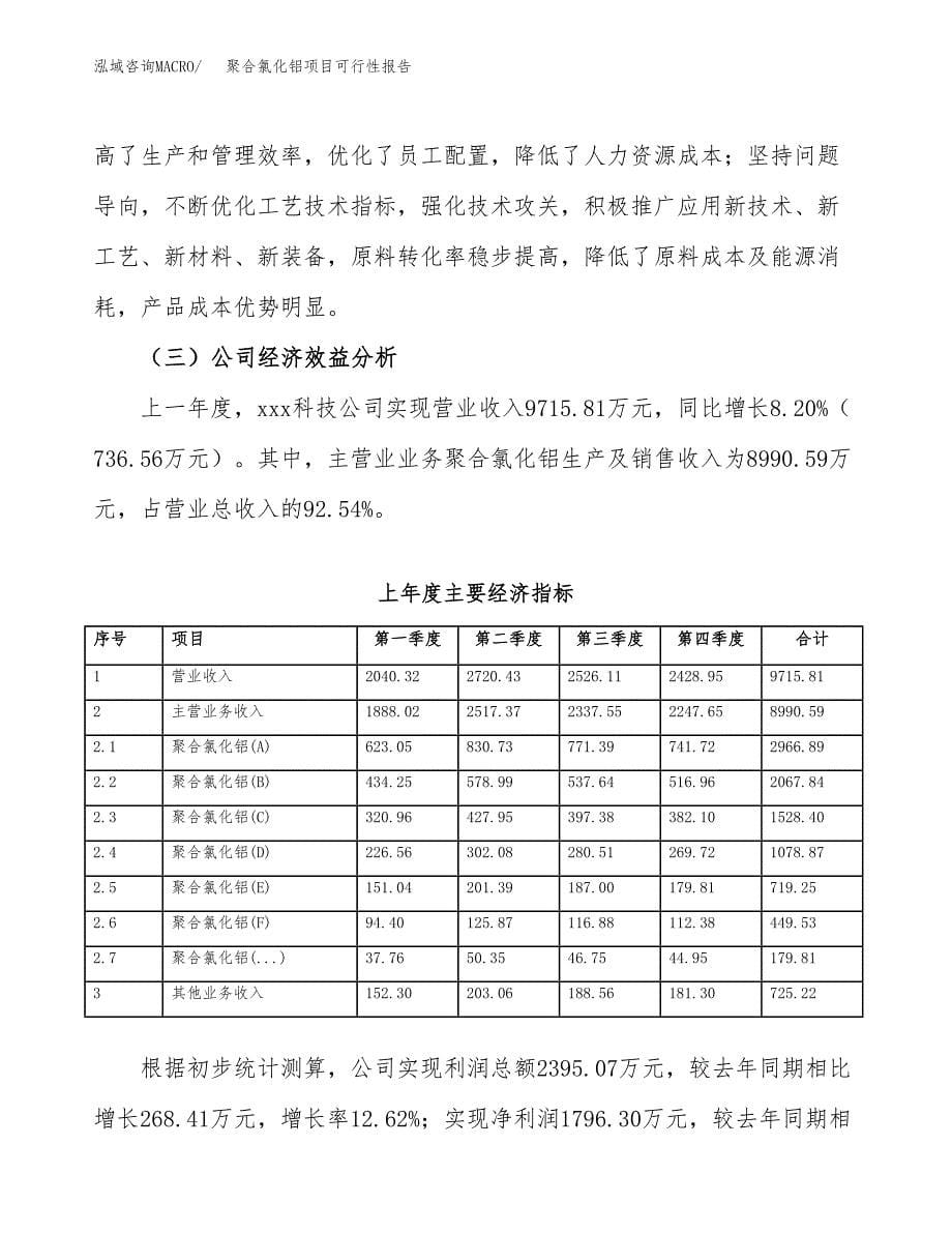 聚合氯化铝项目可行性报告范文（总投资10000万元）.docx_第5页