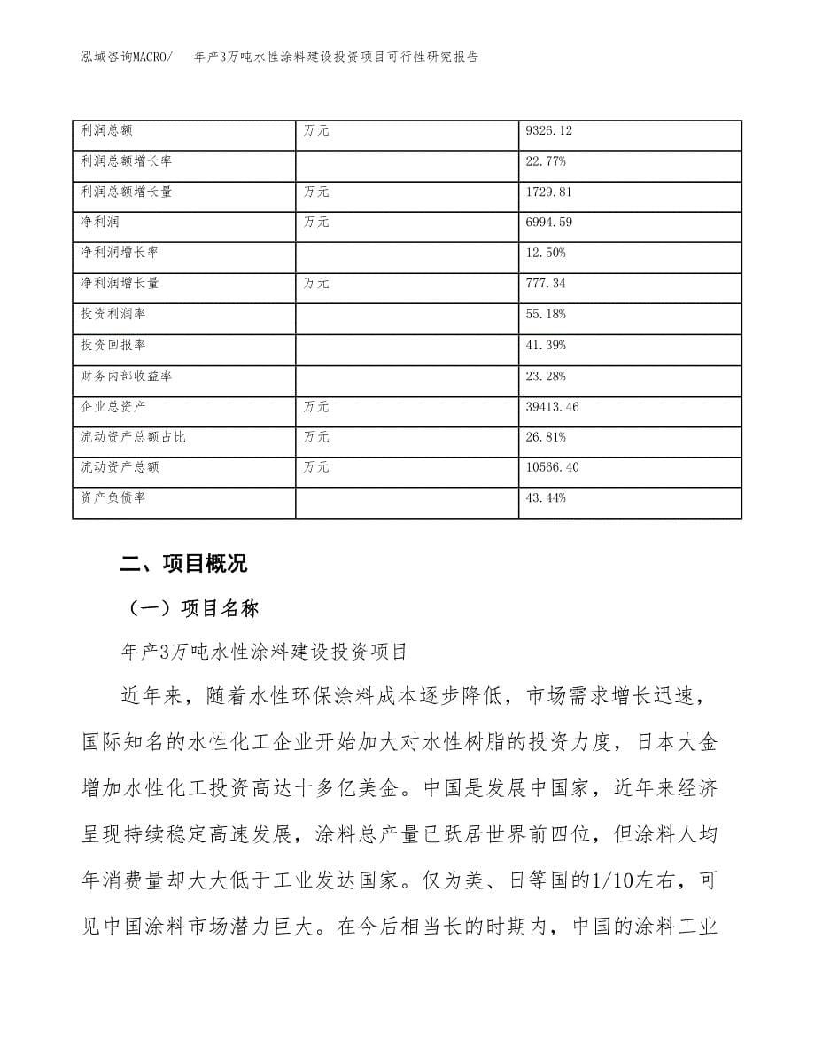 年产3万吨水性涂料建设投资项目可行性研究报告 (9)_第5页