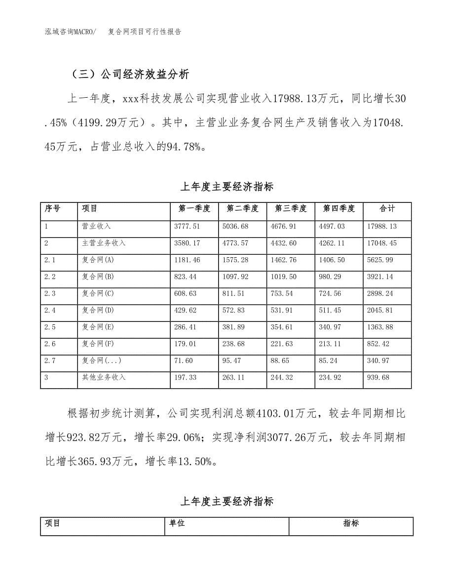 复合网项目可行性报告范文（总投资17000万元）.docx_第5页