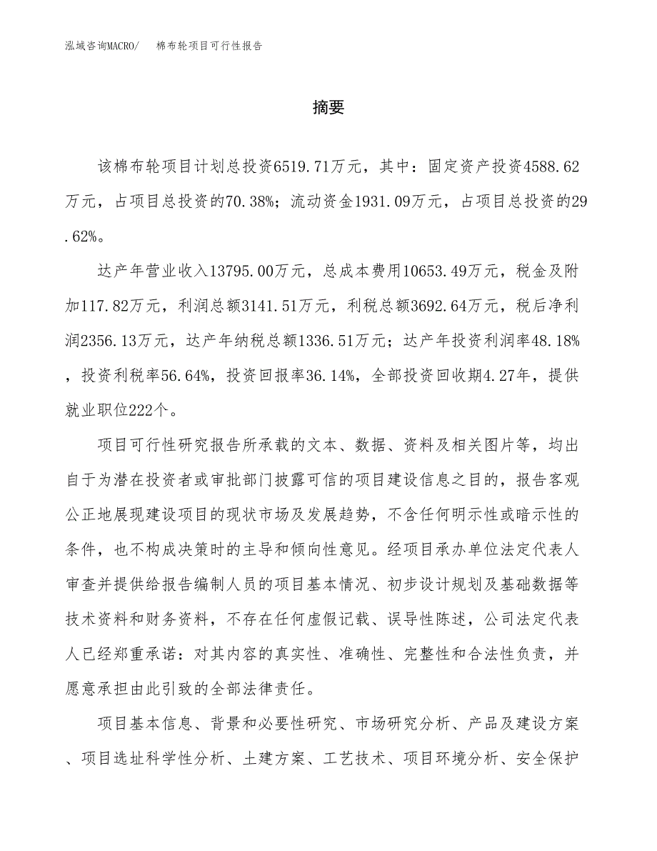 棉布轮项目可行性报告范文（总投资7000万元）.docx_第2页