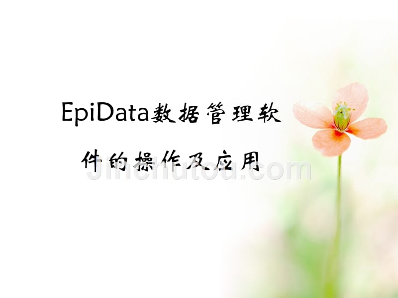 数据录入软件——epidata_第1页