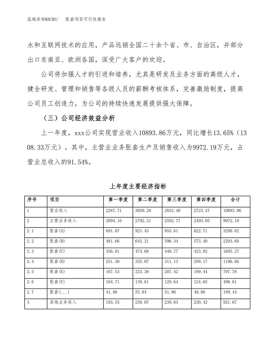 胀套项目可行性报告范文（总投资11000万元）.docx_第5页