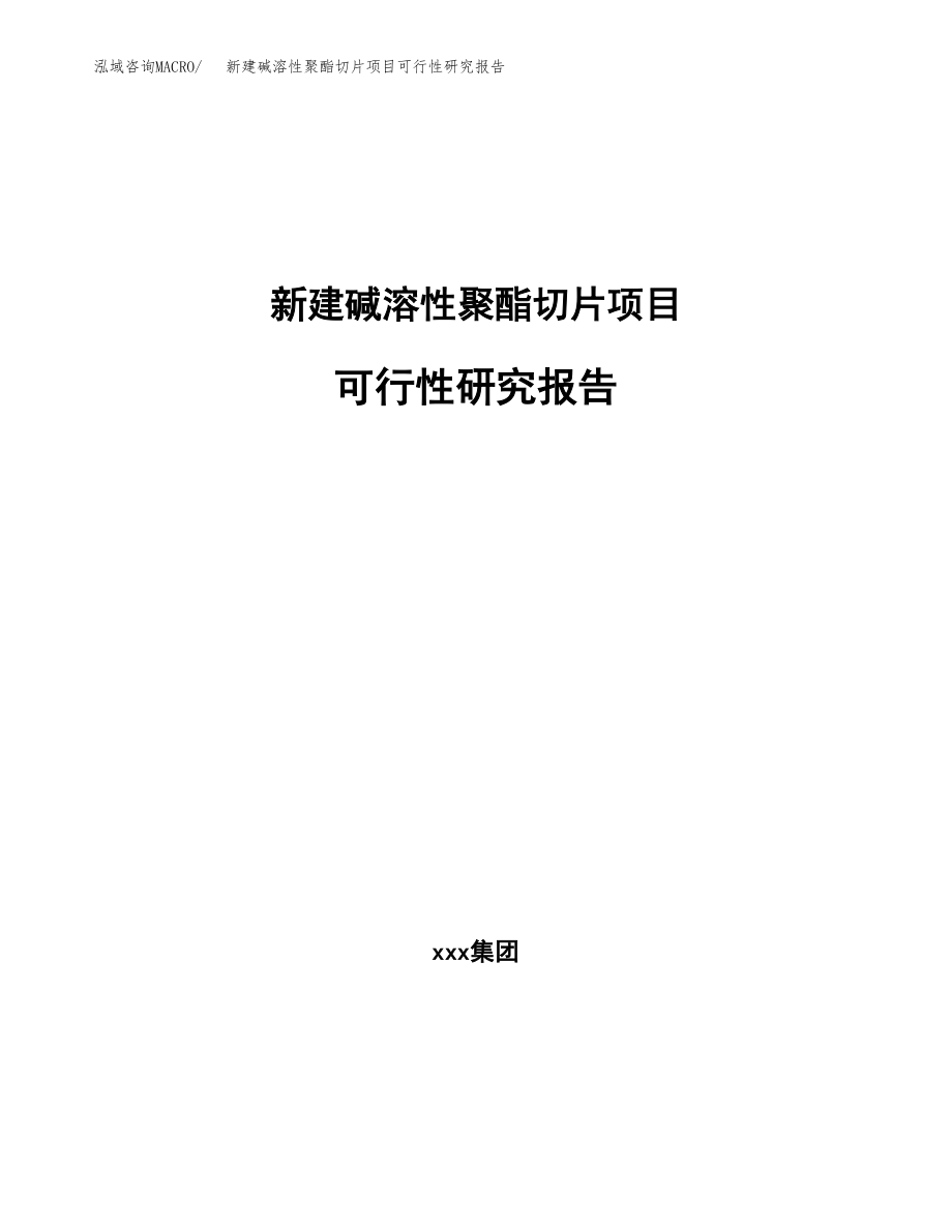 新建碱溶性聚酯切片项目可行性研究报告（立项申请模板）_第1页