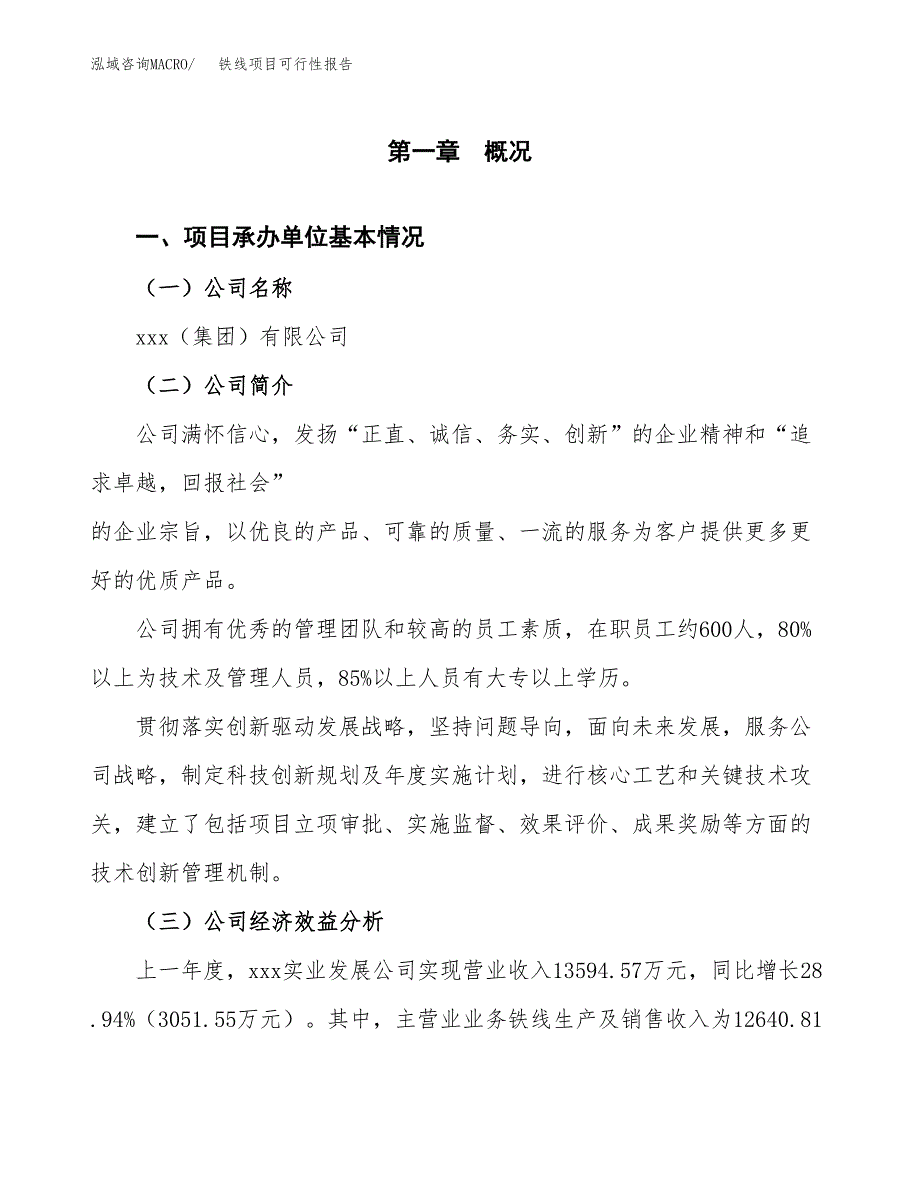 铁线项目可行性报告范文（总投资11000万元）.docx_第4页