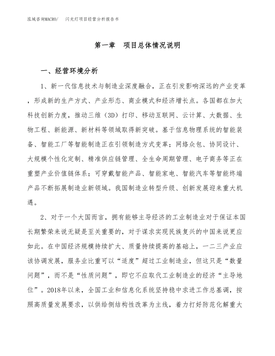 闪光灯项目经营分析报告书（总投资10000万元）（42亩）.docx_第2页