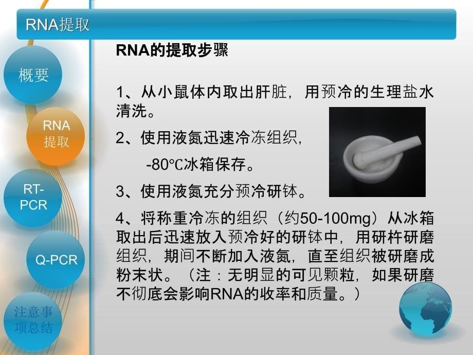 动物组织rna提取及荧光定量pcr-精讲_第5页