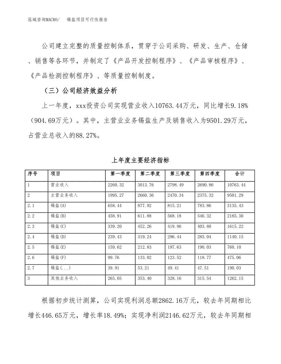 锡盐项目可行性报告范文（总投资8000万元）.docx_第5页