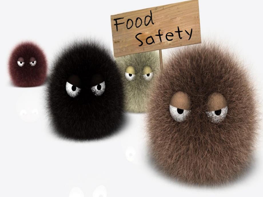 food-safety---食品安全---英文版--_第2页