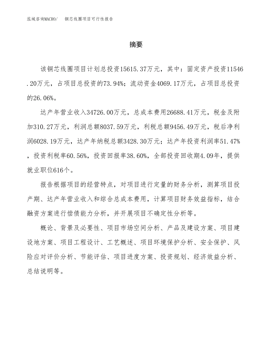 铜芯线圈项目可行性报告范文（总投资16000万元）.docx_第2页