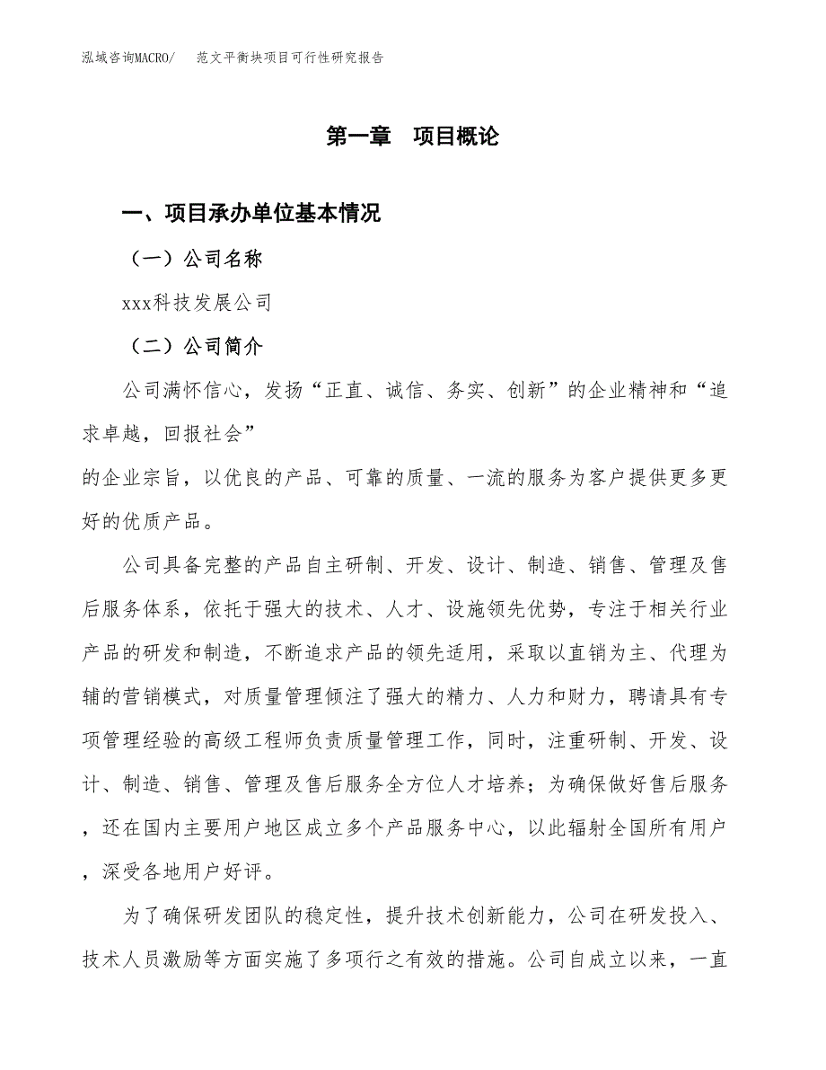 范文平衡块项目可行性研究报告(立项申请).docx_第4页