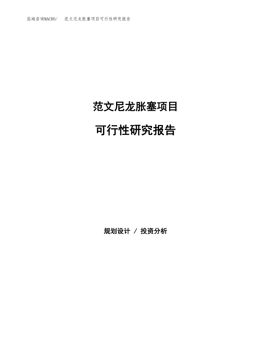 范文尼龙胀塞项目可行性研究报告(立项申请).docx_第1页